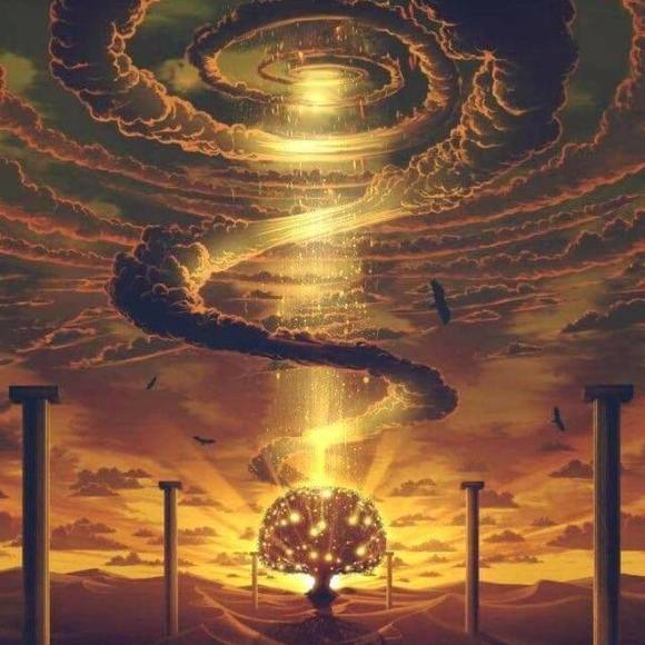 Meet your Posher, Lisa - Picture 1 of 1